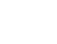 stevanato_group